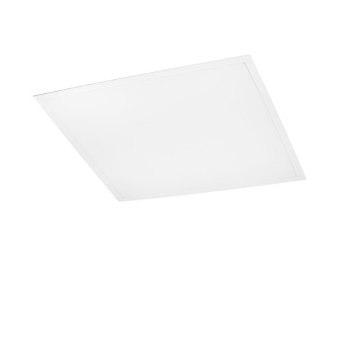 ALGINE PANEL BACKLIGHT 40W 230V 600x600x25 BIAŁY BARWA NEUTRALNA